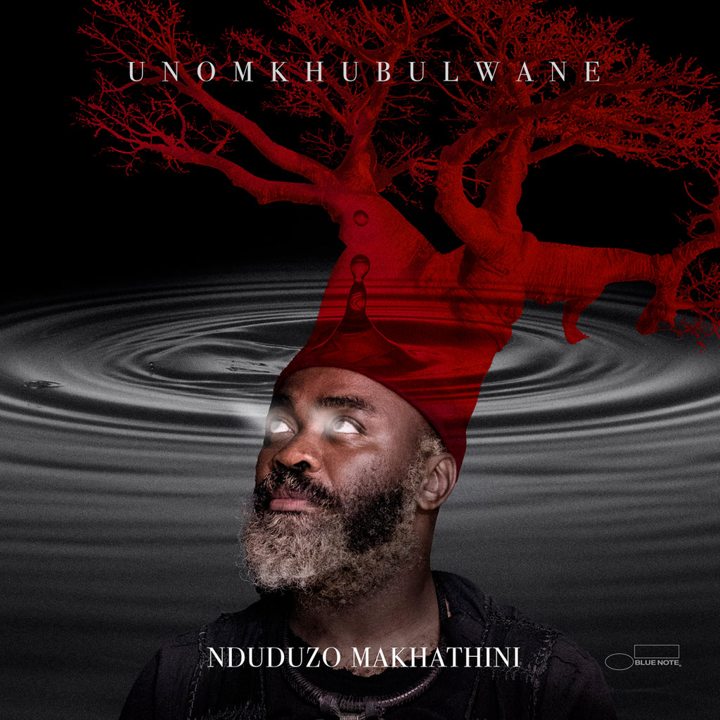 uNomkhubulwane (CD) - Nduduzo Makhathini - platenzaak.nl