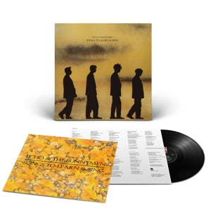 Songs To Learn And Sing (LP) - Echo & The Bunnymen - platenzaak.nl