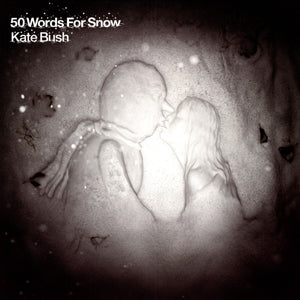 50 Words For Snow (LP) - Kate Bush - platenzaak.nl