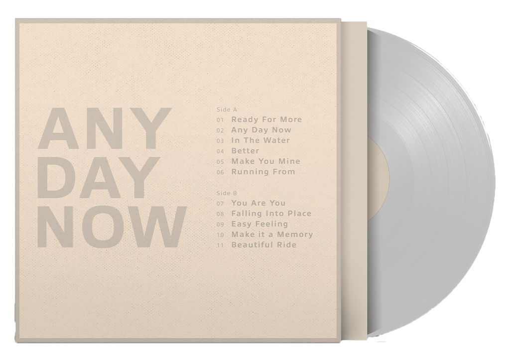 Any Day Now (Clear LP) - Krezip - platenzaak.nl