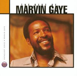Anthology: The Best Of Marvin Gaye (2CD) - Marvin Gaye - platenzaak.nl