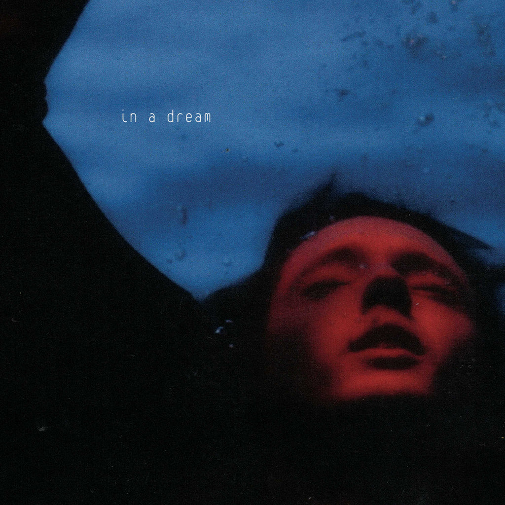 In A Dream (Deluxe CD) - Troye Sivan - platenzaak.nl