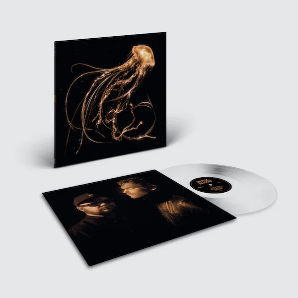 Back To The Water Below (Clear LP) - Royal Blood - platenzaak.nl