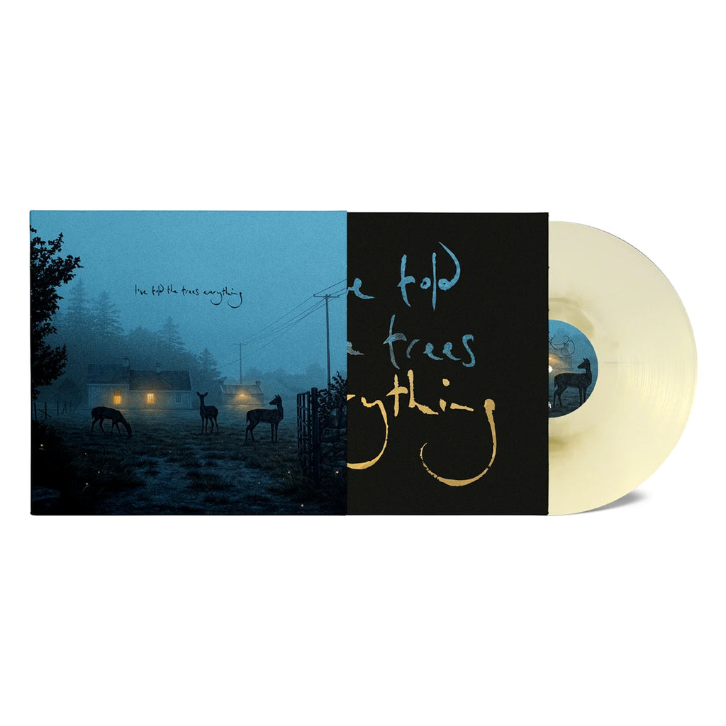 I've Told The Trees Everything (Store Exclusive Marble 12" EP) - Dermot Kennedy - platenzaak.nl