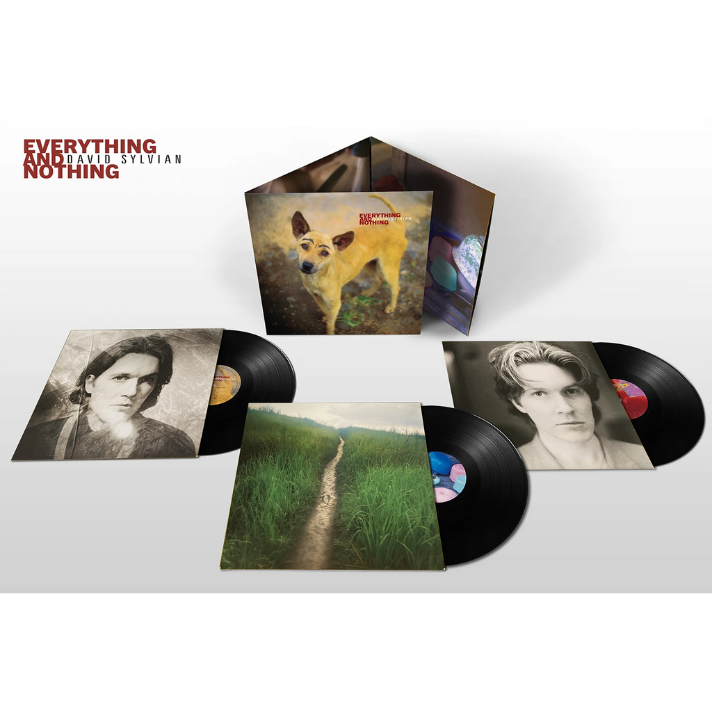 Everything & Nothing (3LP) - David Sylvian - platenzaak.nl