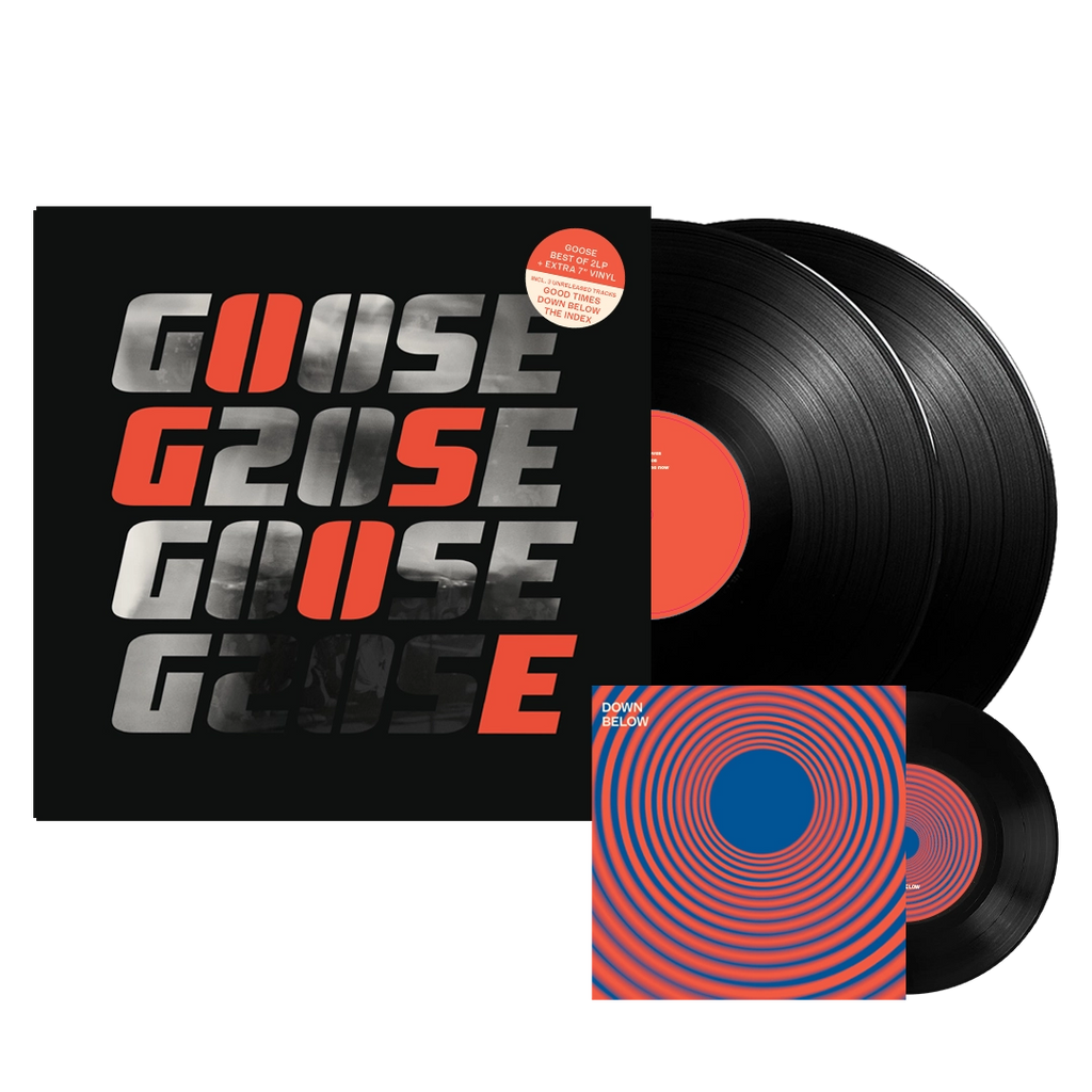 G20SE 20Y Celebration (2LP+7Inch Single) - GOOSE - platenzaak.nl