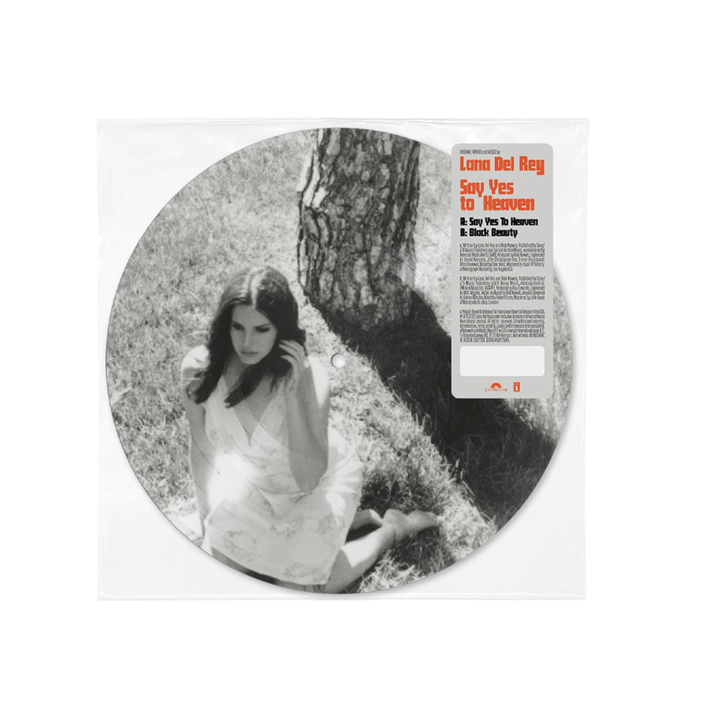Say Yes To Heaven (Store Exclusive 7Inch Picture Disc Single) - Lana Del Rey - platenzaak.nl