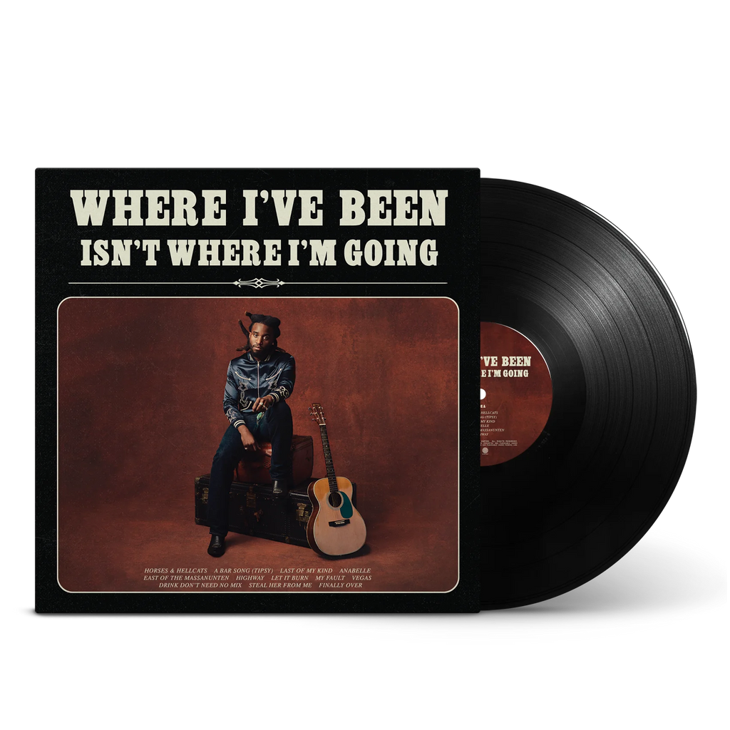 Where I've Been, Isn't Where I'm Going (LP) - Shaboozey - platenzaak.nl