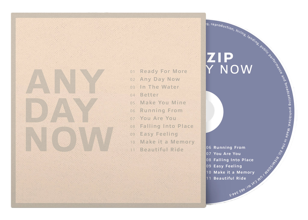 Any Day Now (CD) - Krezip - platenzaak.nl