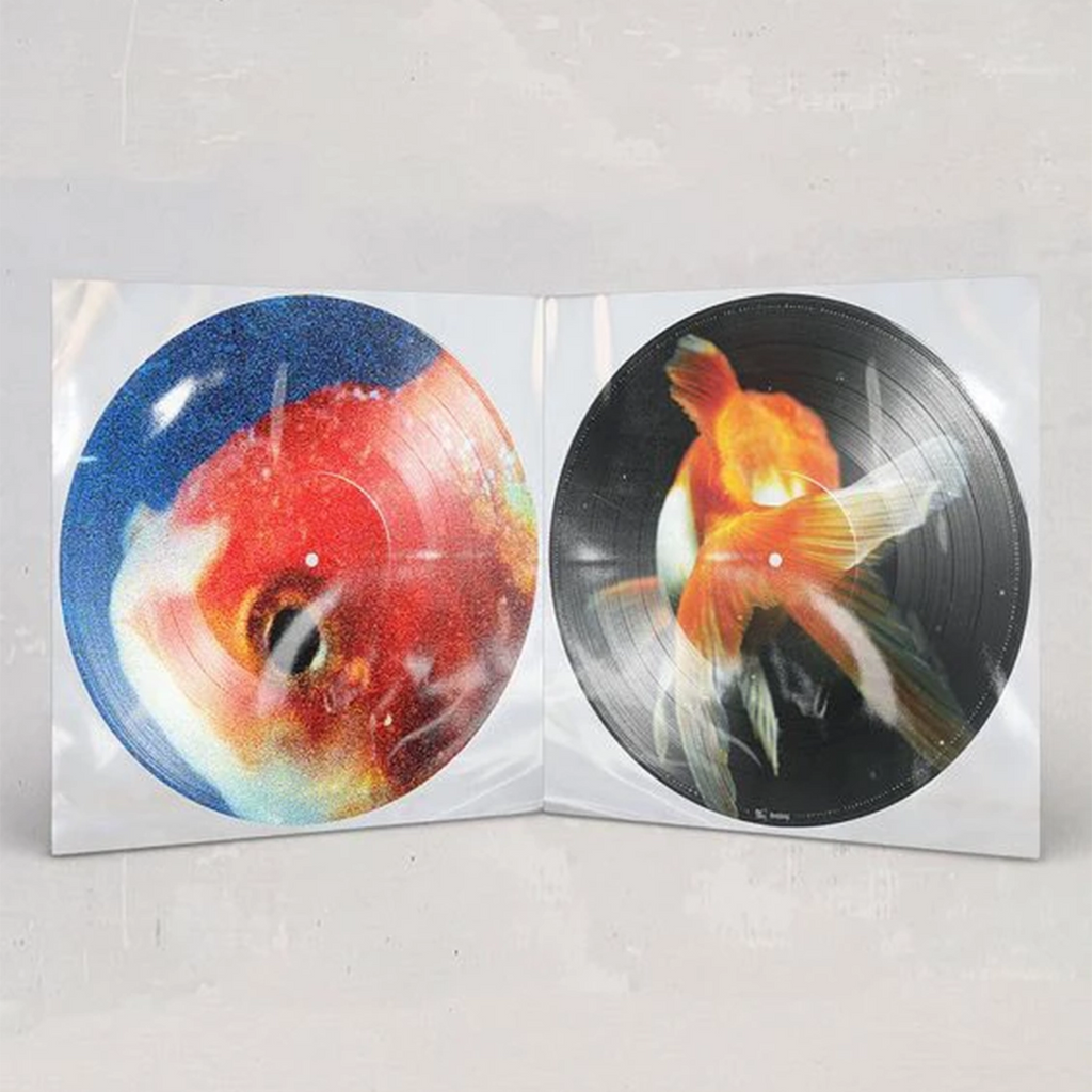 Big Fish Theory (Picture Disc 2LP) - Vince Staples - platenzaak.nl