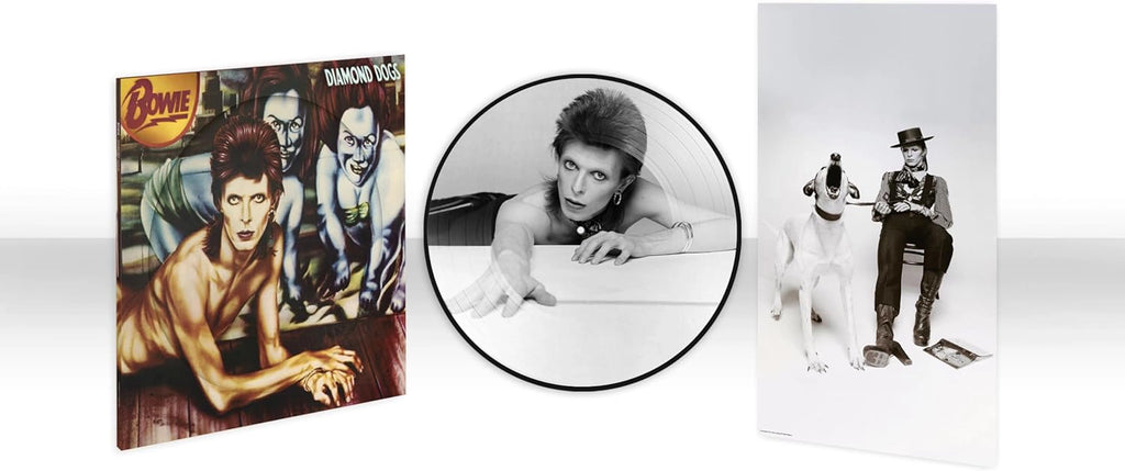 Diamond Dogs (50th Anniversary Picture Disc LP) - David Bowie - platenzaak.nl