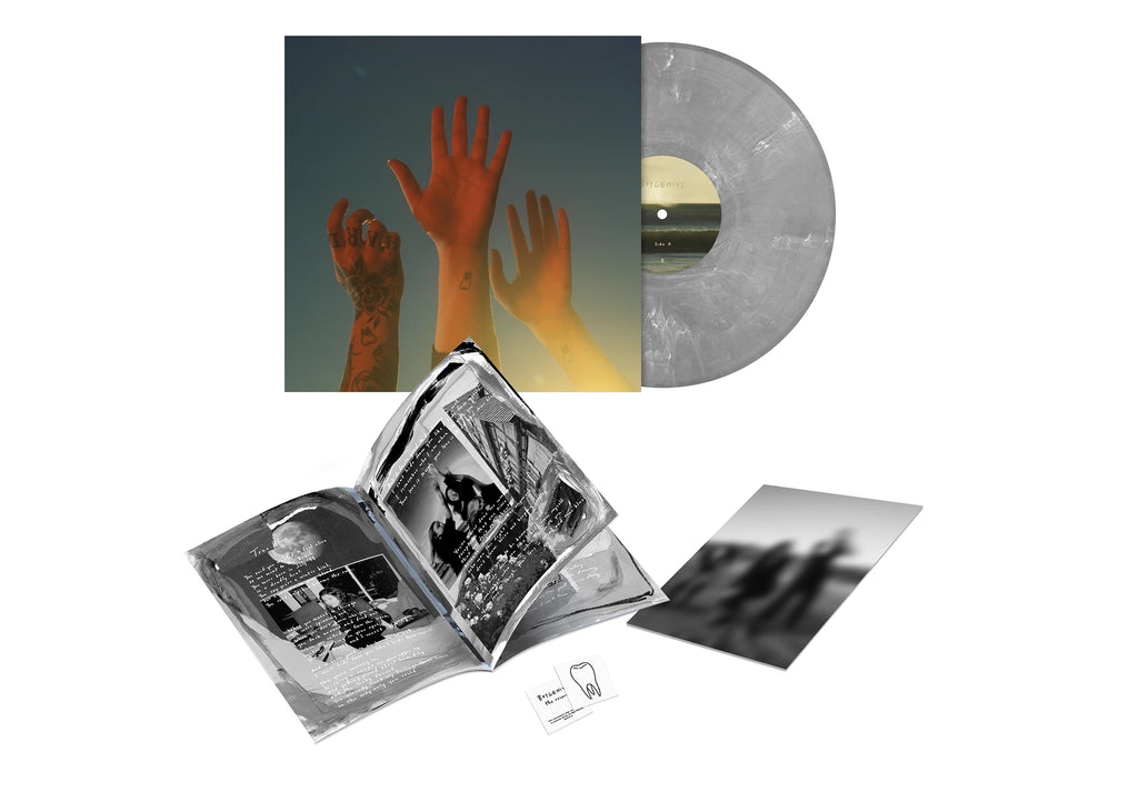 the record (Store Exclusive Silver Swirl LP) - boygenius - platenzaak.nl