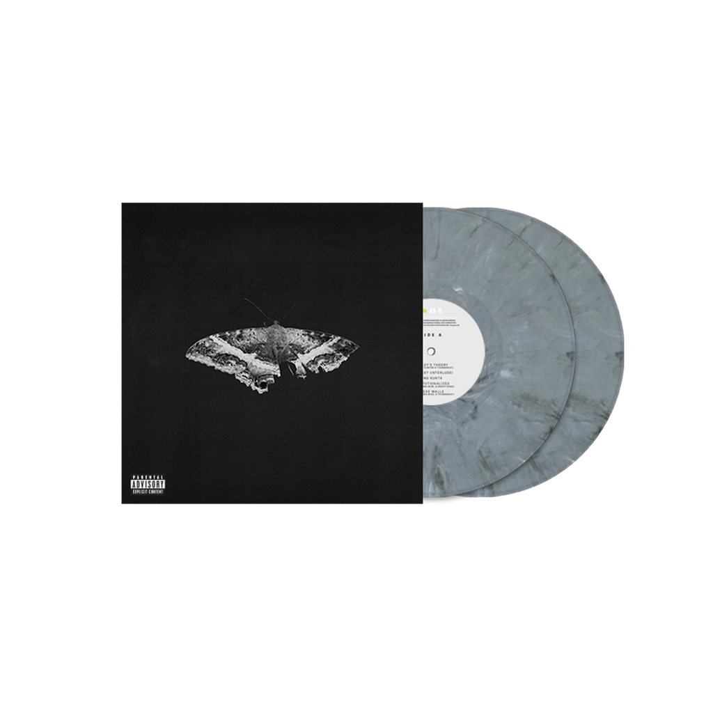 To Pimp A Butterfly Exclusive Graphite Vinyl (10 Year Anniversary Edition) - Alternate Artwork - Kendrick Lamar - platenzaak.nl