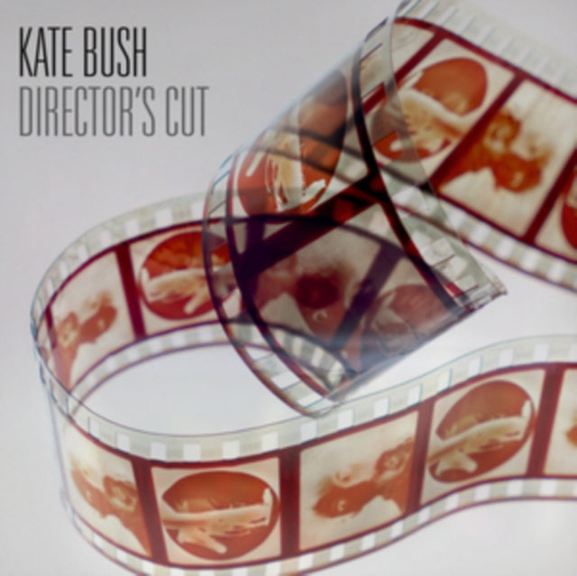 Director's Cut (2LP) - Kate Bush - platenzaak.nl