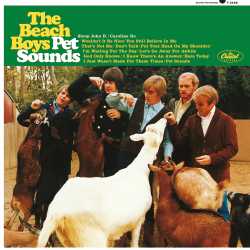 Pet Sounds Mono (LP) - The Beach Boys - platenzaak.nl