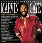 Every Great Motown Hit (LP) - Platenzaak.nl
